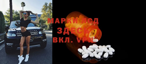 прущий лед Алзамай