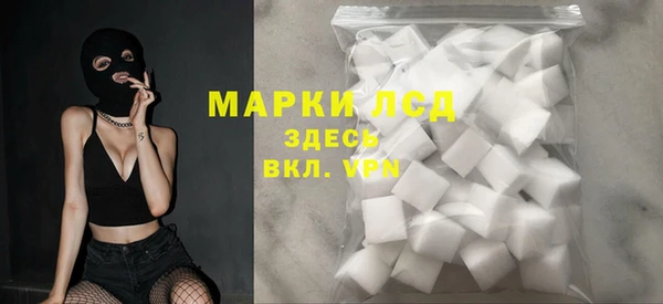 прущий лед Алзамай