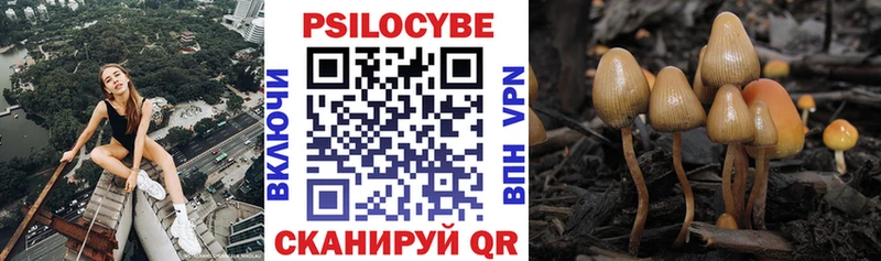 Галлюциногенные грибы GOLDEN TEACHER  купить закладку  blacksprut ссылки  Бикин 